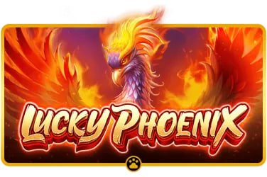 pvvip login