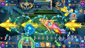 pvvip login